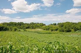 Земельні сутички. Махінації з прибудинковою територією (відео)