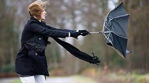 Грози, шквальний вітер та підняття рівнів води у річках: якою буде погода на Закарпатті у понеділок