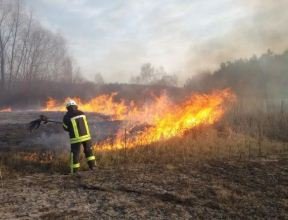 В Ужгородському районі горіла трава і в ній ледь не згоріла літня людина