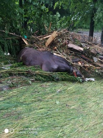 Відео наслідків безжальної стихії на Рахівщині на сьогодні