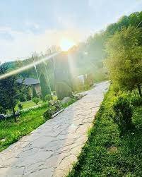 Вдень 22-27° - погода на Закарпатті 2 липня