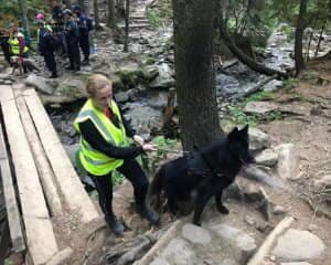 На Говерлі продовжуються пошуки 6-річного хлопчика