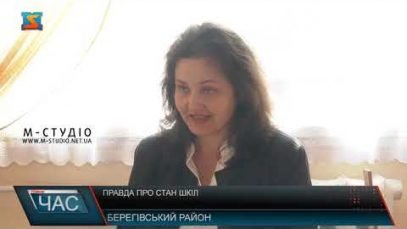 Екс-очільниця навчального закладу почала ширити в мережі інформацію про аварійність певних шкіл Берегівського району