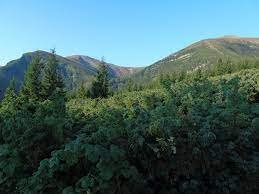 Вдень 18-22° тепла: Погода на Закарпатты 03 вересня