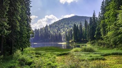 Вдень 21-23° тепла: Погода 08 вересня на Закарпатті
