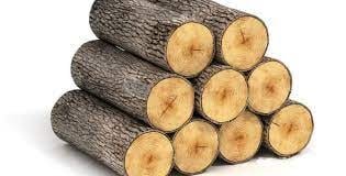 Лісівники Тячівщини звернулися з важливим оголошенням до жителів району