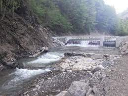 Міні-ГЕС на р. Ріка в Нижньому Бистрому призвела до загибелі червонокнижної риби