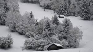 Погода на Закарпатті в перший день нового року