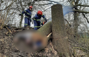 Трагічний випадок у селі: дерево на смерть розчавило чоловіка (ФОТО)