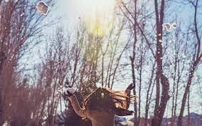 Сьогодні у світі відзначали день здоров’я душі і тіла (Відео)