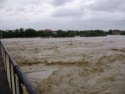 На Рахівщині трапилося жахливе лихо: неповнолітній хлопець упав у річку і зник