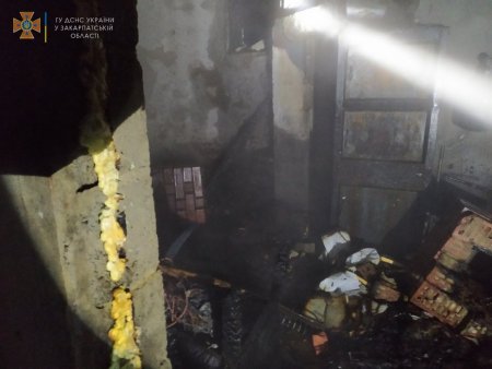 У Берегівському районі рятувальники ліквідували загорання добудови до оселі