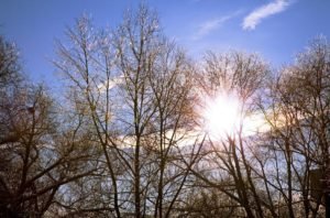 В Україну йде потепління до +12°C