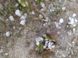 Лютує негода: Закарпаття накрив град (Фото)