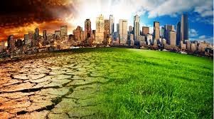 На Закарпатті екологічні питання набувають актуальності під час воєнних дій