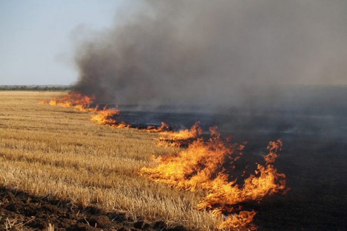 Пал огня. Степные пожары. Пожар в степи. Пожары на сельскохозяйственных объектах. Пожары в сельском хозяйстве.