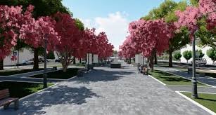 На Виноградівщині розмістили 10 тисяч переселенців (ВІДЕО)