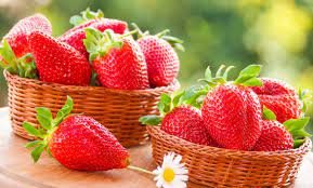 Перша полуниця на Закарпатті: ціни та якість (ВІДЕО)