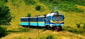 Закарпаття готується до літньої оздоровчої кампанії 2022 року