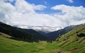 На Рахівщині вже добу шукають чоловіка, який заблудився в горах