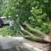 Наслідки негоди, яка пронеслася частиною Закарпаття