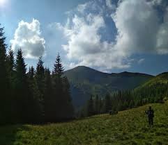 На рахівщині жінку яка збирала ягоди в горах доправлено в лікарню: Що трапилось, подробиці