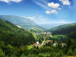 На Закарпатті розширюють мережу осередків для розміщення ВПО