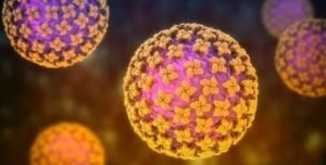 Вчені ідентифікували новий потенційно смертельний вірус