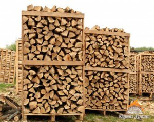 Мешканцям восьми областей безкоштовно роздаватимуть дрова