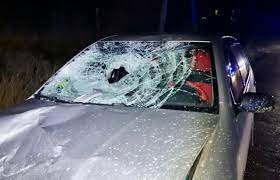 П'яний закарпатець насмерть збив односільчанина, який йшов посеред дороги (ВІДЕО)