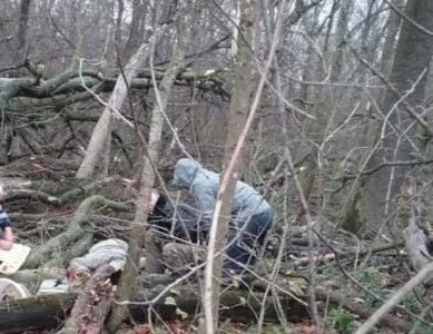Міжгірщину сколихнула страшна звістка: В лісі, дерево насмерть придавило чоловіка