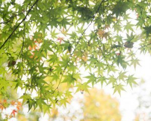 Температура місцями стрибне до “неймовірних +30°С” – синоптикиня здивувала прогнозом