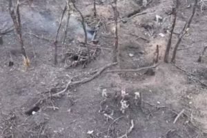 Воїни Закарпатської 128-ї бригади взяли в полон 11 росіян (ВІДЕО)