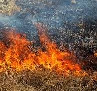 Закарпатські рятувальники за допомогою дронів виявлятимуть паліїв сухої трави