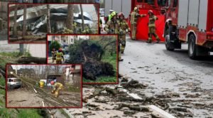 Загиблі люди і розбиті авто: Польща постраждала від сильного вітру (ФОТО)