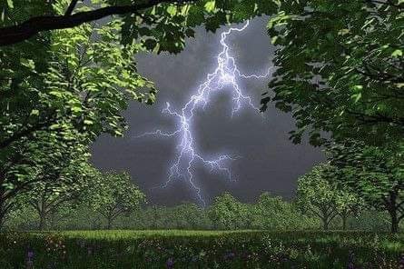 Синоптики попереджають про погіршення погодних умов на Закарпатті