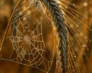 Синоптикиня поділилася прогнозом на вівторок і сказала, коли почне мінятися погода