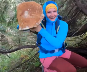 На Закарпатті знайшли гриба-велетня вагою у 3 кілограми: як виглядає знахідка (ФОТО)