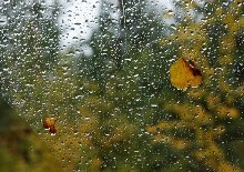 25 жовтня: це цікаво знати