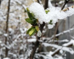 В яких областях України чекати на сніг – прогноз від синоптикині