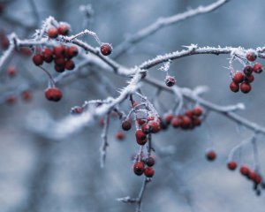 Мороз іще затримається – синоптикиня вразила прогнозом