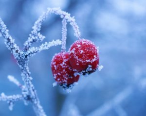 В Укргідрометцентрі розповіли, чи вдарять у грудні сильні морози