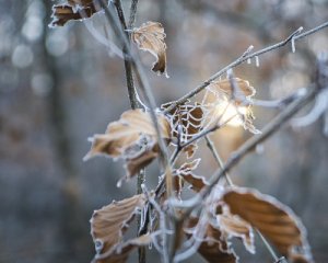 В Укргідрометцентрі дали невтішний прогноз на лютий і березень