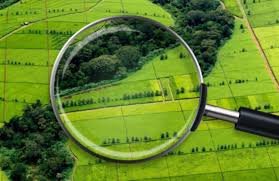 На Тячівщині поліція підозрює у заволодінні землями громади чотирьох місцевих жителів – збитки складають майже 2 млн грн