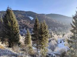 Крижана казка та вулкан у Карпатах: Tour de Ukraine зняли унікальне зимове Закарпаття (ВІДЕО)