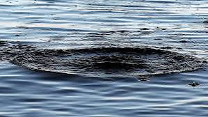 На Закарпатті виявили тіло ймовірного потопельника у річці Вича