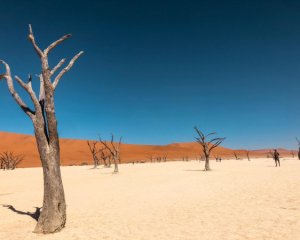 Україна нагрівається значно швидше, ніж інші країни світу – кліматологи