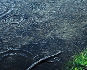 Вітер, дощ, сніг: невтішну погоду прогнозують на завтра