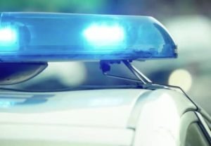 Трагічний випадок на Закарпатті: у ставку села Драгово ймовірно втонув чоловік