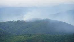 Щасливий фінал: гірські рятувальники Ужгородщини швидко знайшли 73-річного грибника, який заблукав!